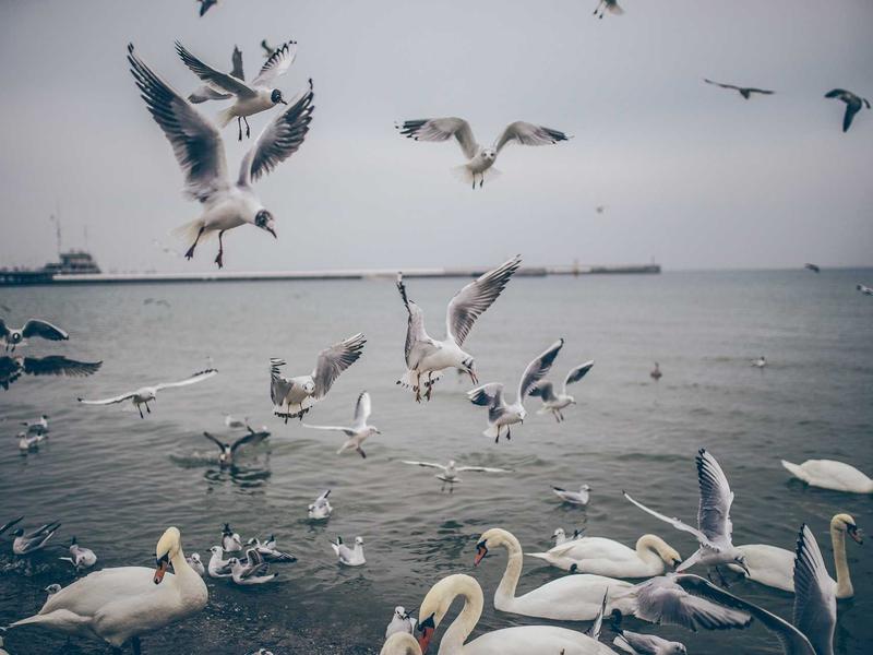 sudoku daily challenge screenshot 3